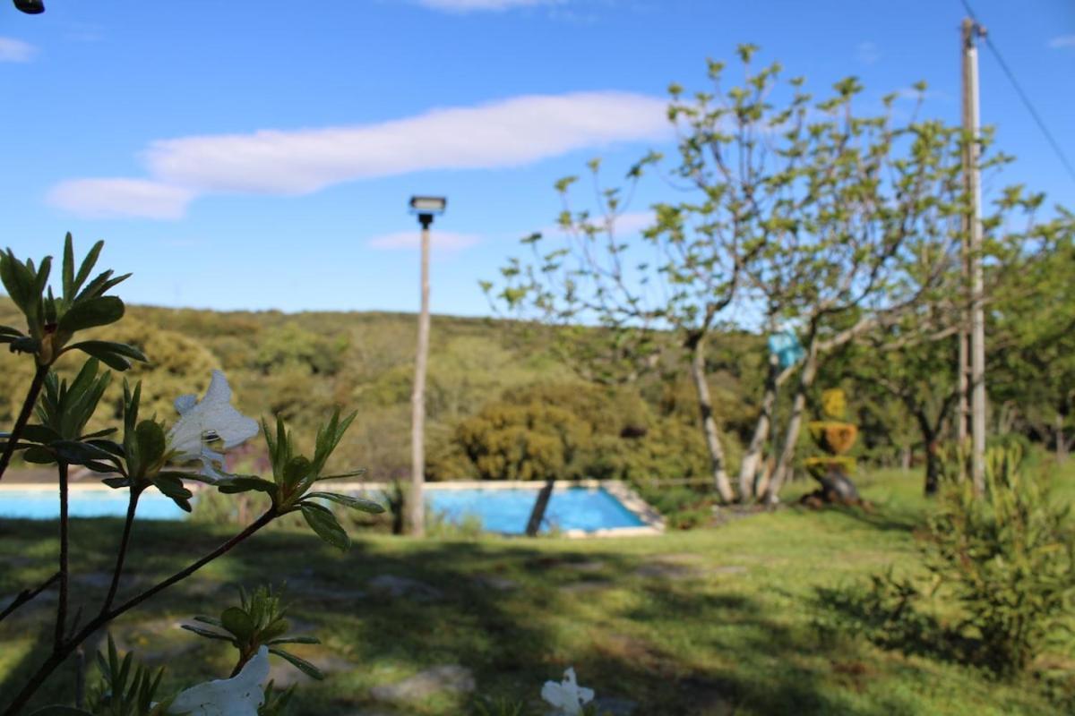 Готель Quinta Da Devesa -B2 Віньяйш Екстер'єр фото