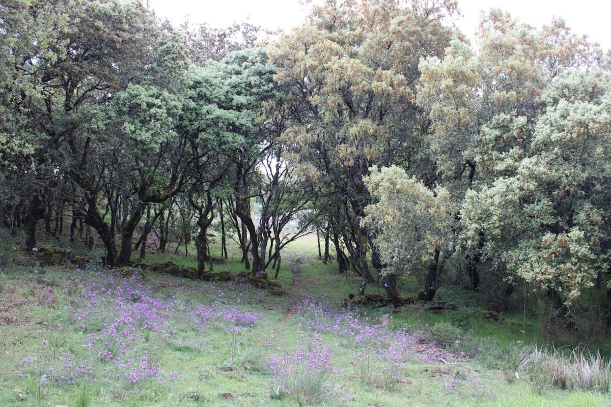Готель Quinta Da Devesa -B2 Віньяйш Екстер'єр фото